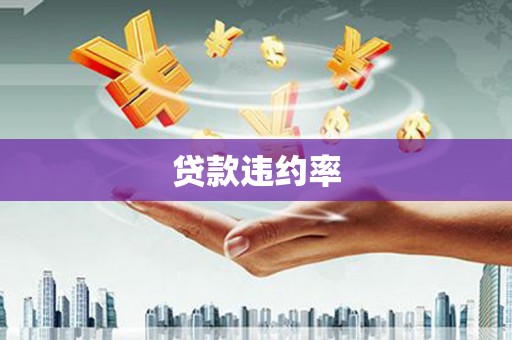 西和贷款违约率