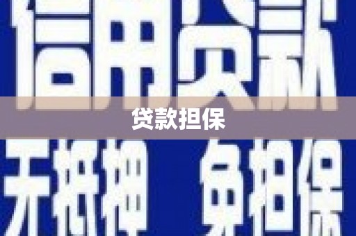 西和贷款担保