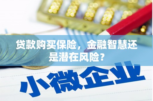 西和贷款购买保险，金融智慧还是潜在风险？