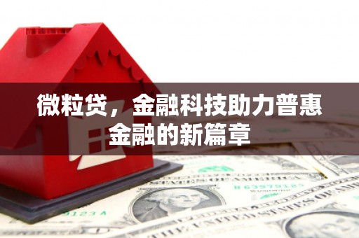西和微粒贷，金融科技助力普惠金融的新篇章