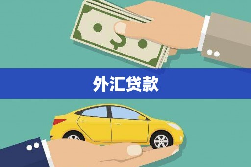 西和外汇贷款