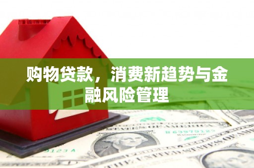 西和购物贷款，消费新趋势与金融风险管理