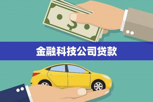 西和金融科技公司贷款