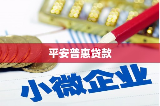 西和平安普惠贷款