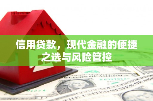 西和信用贷款，现代金融的便捷之选与风险管控