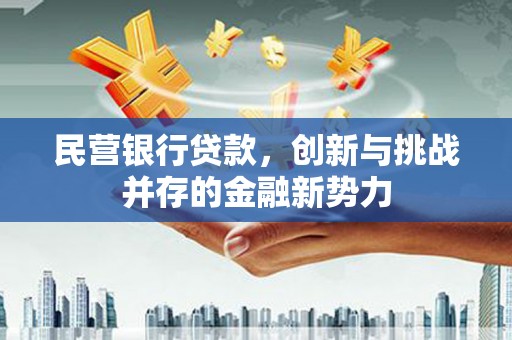 西和民营银行贷款，创新与挑战并存的金融新势力