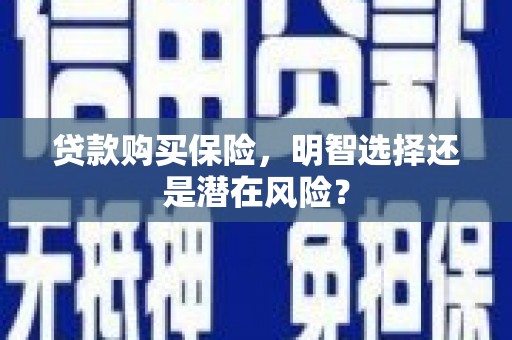 西和贷款购买保险，明智选择还是潜在风险？
