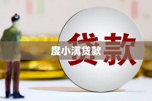 西和度小满贷款
