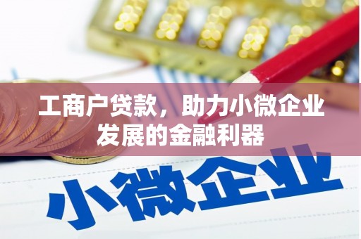 西和工商户贷款，助力小微企业发展的金融利器