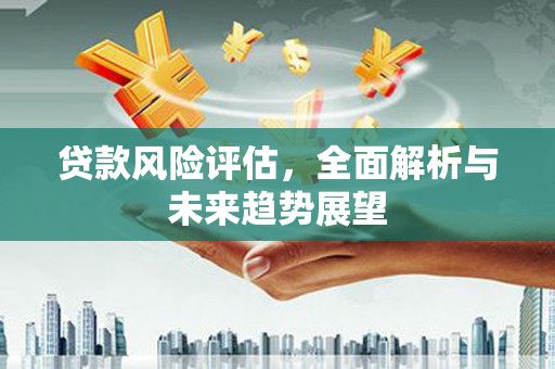 西和贷款风险评估，全面解析与未来趋势展望