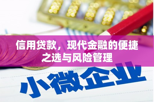 西和信用贷款，现代金融的便捷之选与风险管理