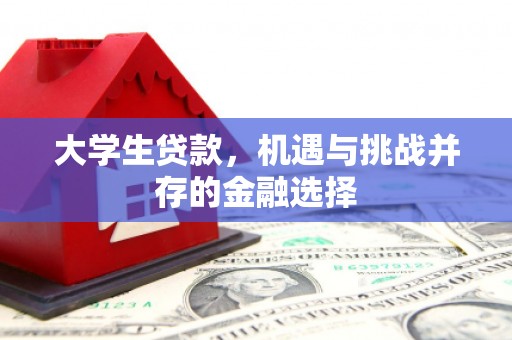 西和大学生贷款，机遇与挑战并存的金融选择
