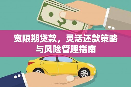 西和宽限期贷款，灵活还款策略与风险管理指南