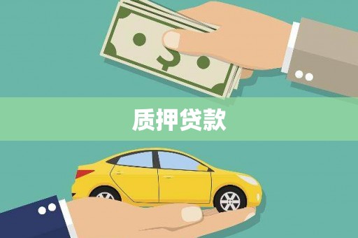 西和质押贷款