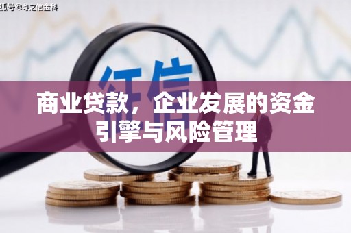 西和商业贷款，企业发展的资金引擎与风险管理