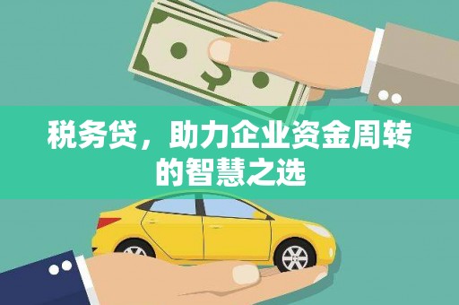 西和税务贷，助力企业资金周转的智慧之选