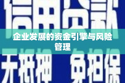 西和企业发展的资金引擎与风险管理