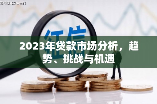西和2023年贷款市场分析，趋势、挑战与机遇