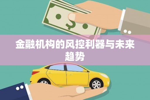 西和金融机构的风控利器与未来趋势