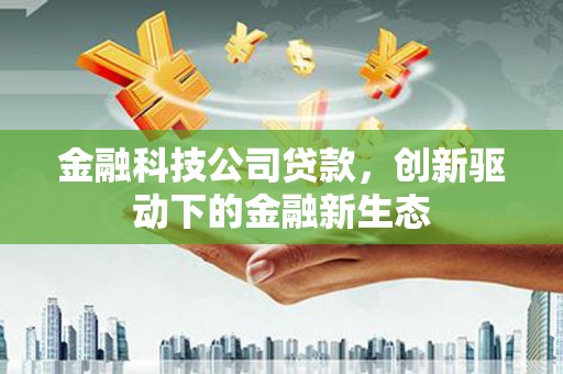 西和金融科技公司贷款，创新驱动下的金融新生态
