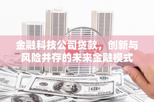 西和金融科技公司贷款，创新与风险并存的未来金融模式