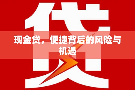 西和现金贷，便捷背后的风险与机遇