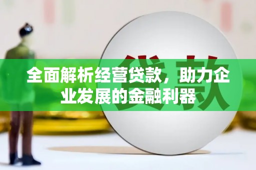 西和全面解析经营贷款，助力企业发展的金融利器