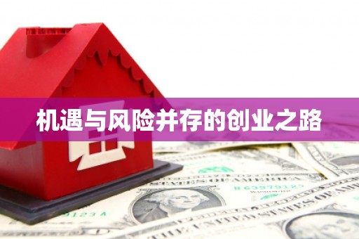 西和机遇与风险并存的创业之路