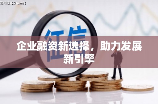 西和企业融资新选择，助力发展新引擎