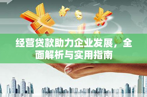西和经营贷款助力企业发展，全面解析与实用指南