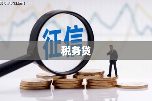 西和税务贷