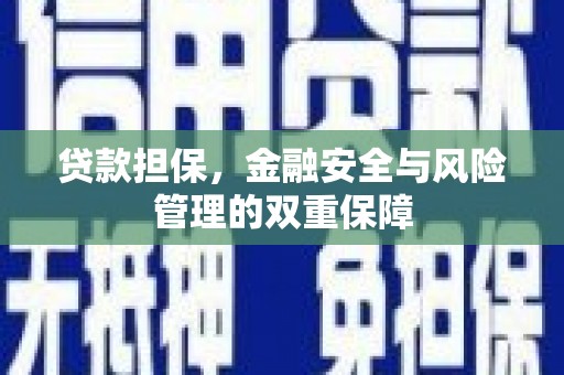 西和贷款担保，金融安全与风险管理的双重保障