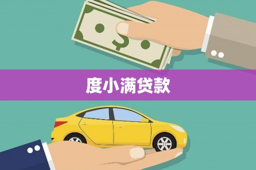 西和度小满贷款