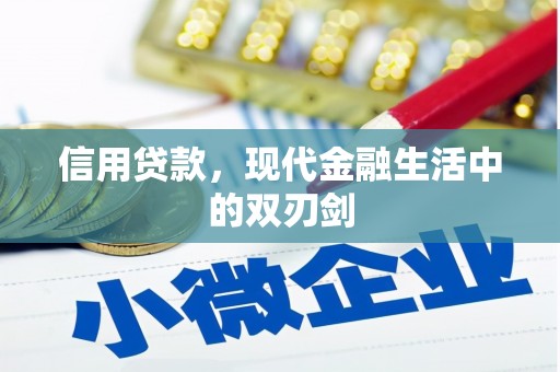 西和信用贷款，现代金融生活中的双刃剑