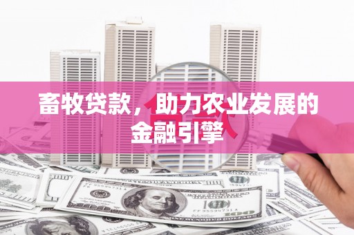 西和畜牧贷款，助力农业发展的金融引擎