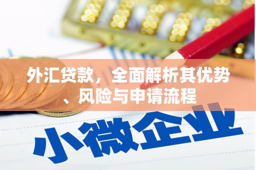 西和外汇贷款，全面解析其优势、风险与申请流程