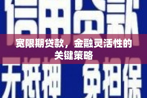 西和宽限期贷款，金融灵活性的关键策略