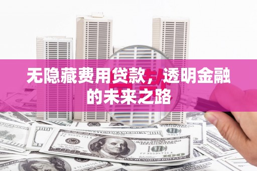西和无隐藏费用贷款，透明金融的未来之路