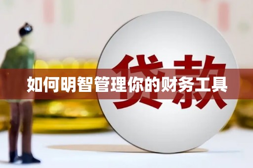 西和如何明智管理你的财务工具