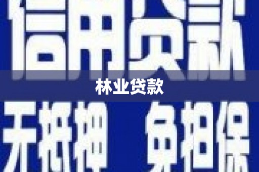 西和林业贷款
