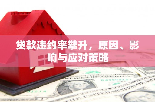 西和贷款违约率攀升，原因、影响与应对策略