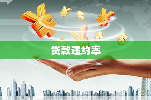 西和贷款违约率