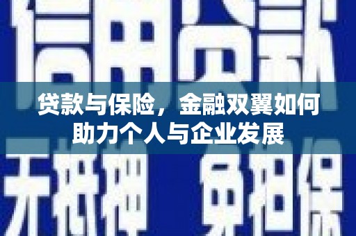 西和贷款与保险，金融双翼如何助力个人与企业发展