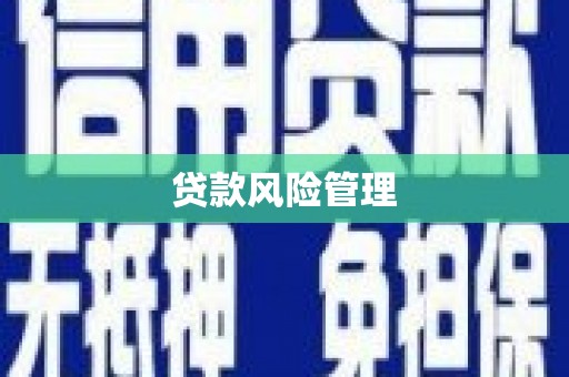西和贷款风险管理