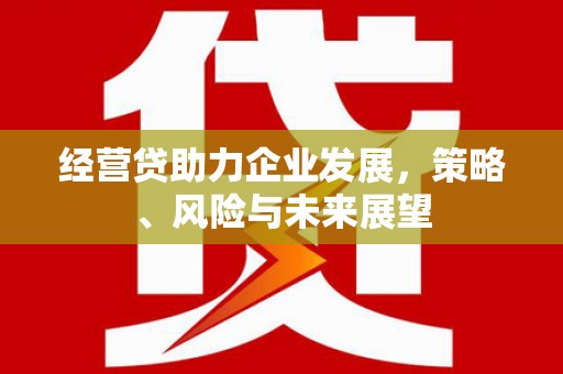 西和经营贷助力企业发展，策略、风险与未来展望