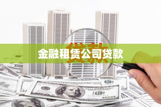 西和金融租赁公司贷款