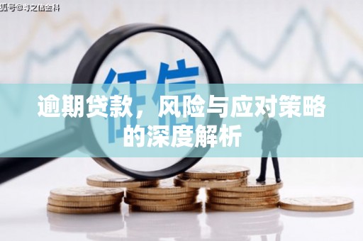 西和逾期贷款，风险与应对策略的深度解析