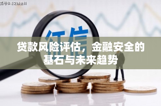 西和贷款风险评估，金融安全的基石与未来趋势