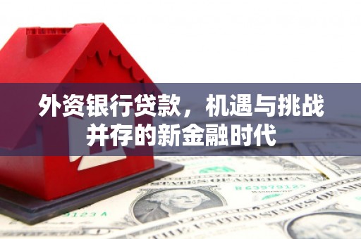 西和外资银行贷款，机遇与挑战并存的新金融时代