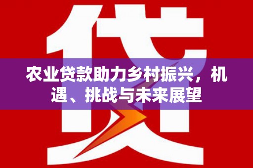 西和农业贷款助力乡村振兴，机遇、挑战与未来展望